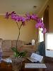 Click image for larger version
Name:	IMG_0884.jpg
Views:	44
Size:	87.9 KB
ID:	819