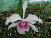 Click image for larger version
Name:	Resize of IMGP9495.jpg
Views:	11
Size:	87.7 KB
ID:	972