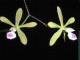 Mike_B.,Alexandria,VA's Avatar