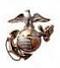 Proud Marine Dad's Avatar