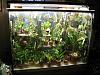 Click image for larger version
Name:	orchidarium3_09.jpg
Views:	792
Size:	56.5 KB
ID:	24